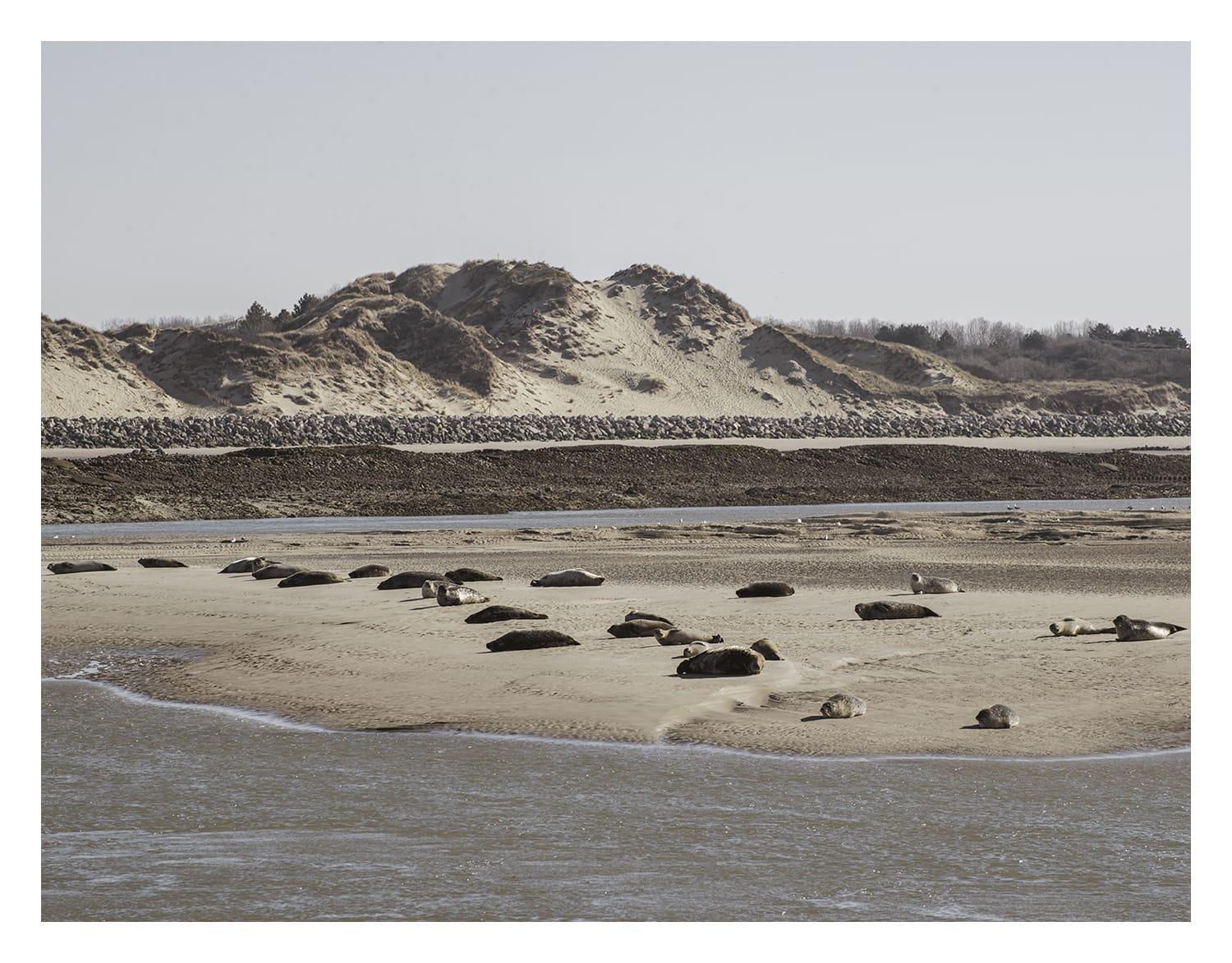 Cottage Proche Du Bord De Mer Et Au Coeur Des Dunes Merlimont-Plage Buitenkant foto